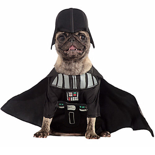 Top Pet Costumes